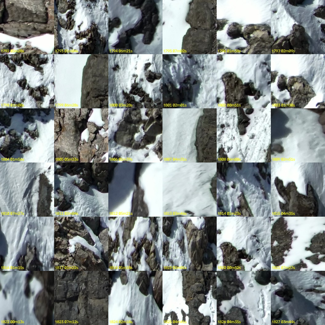 montage_22.jpg