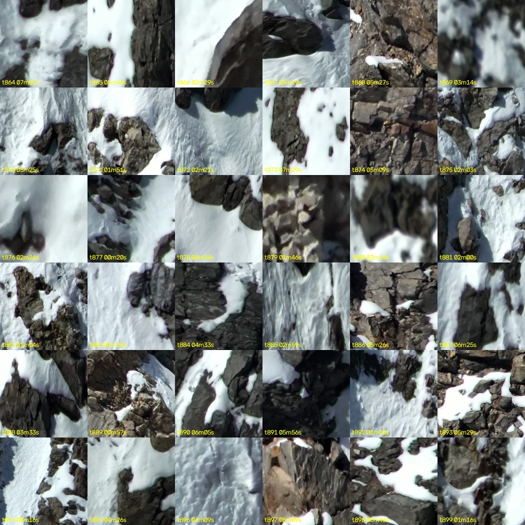 montage_24.jpg