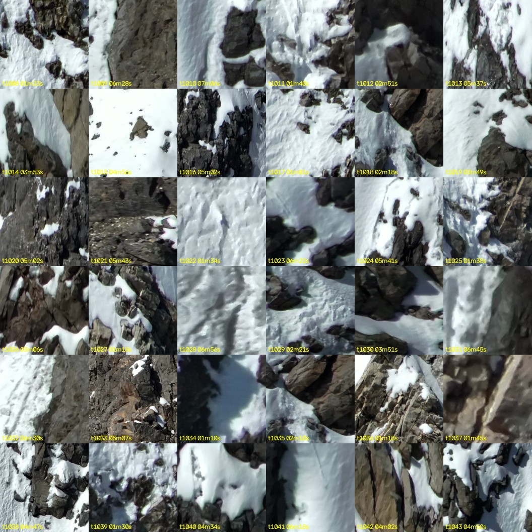 montage_28.jpg