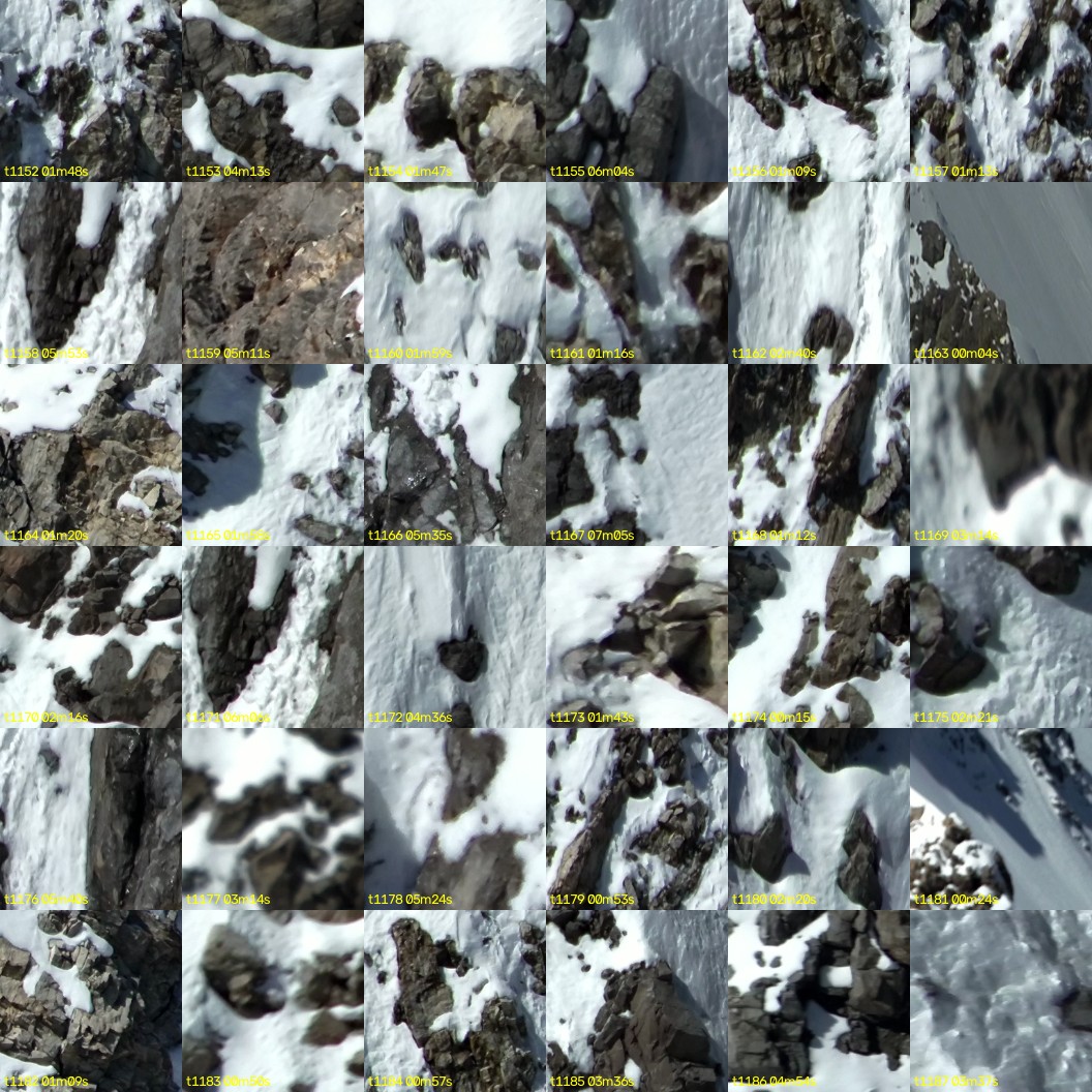 montage_32.jpg