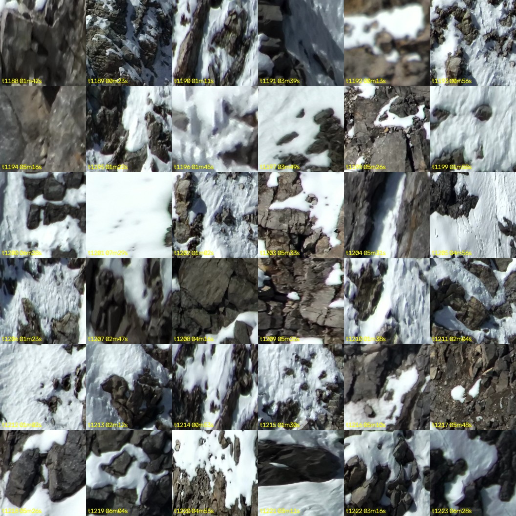 montage_33.jpg