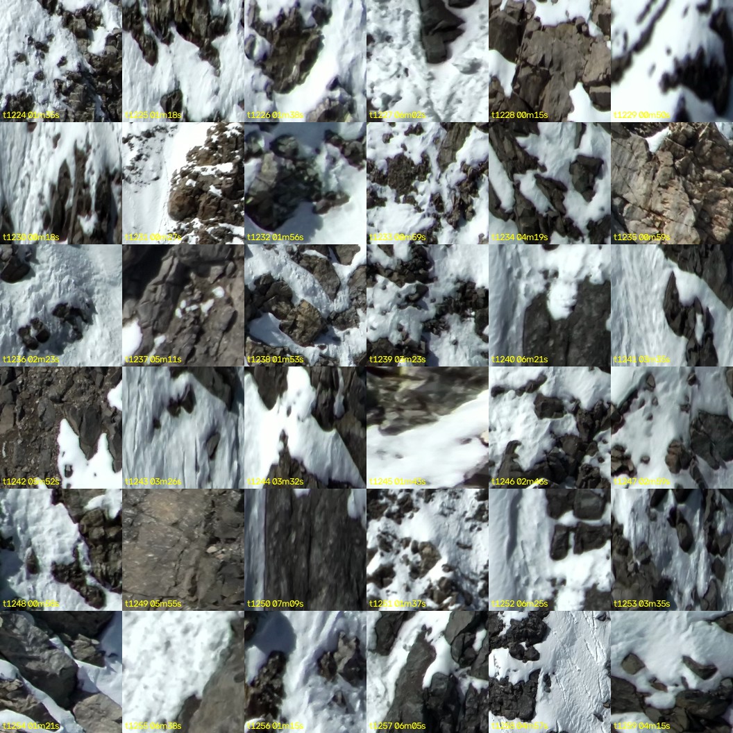 montage_34.jpg