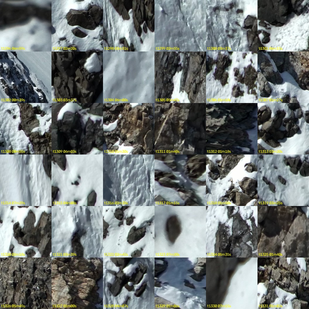 montage_36.jpg