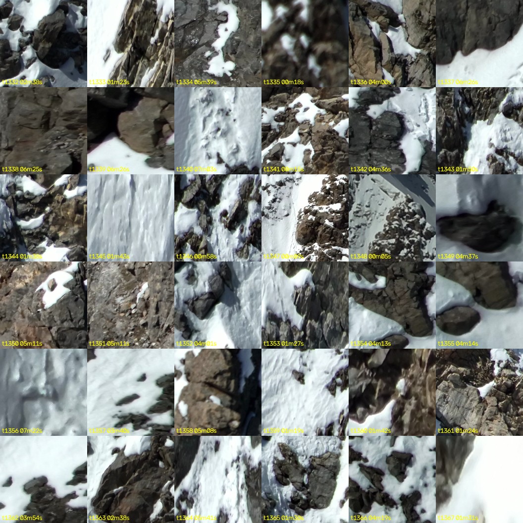 montage_37.jpg