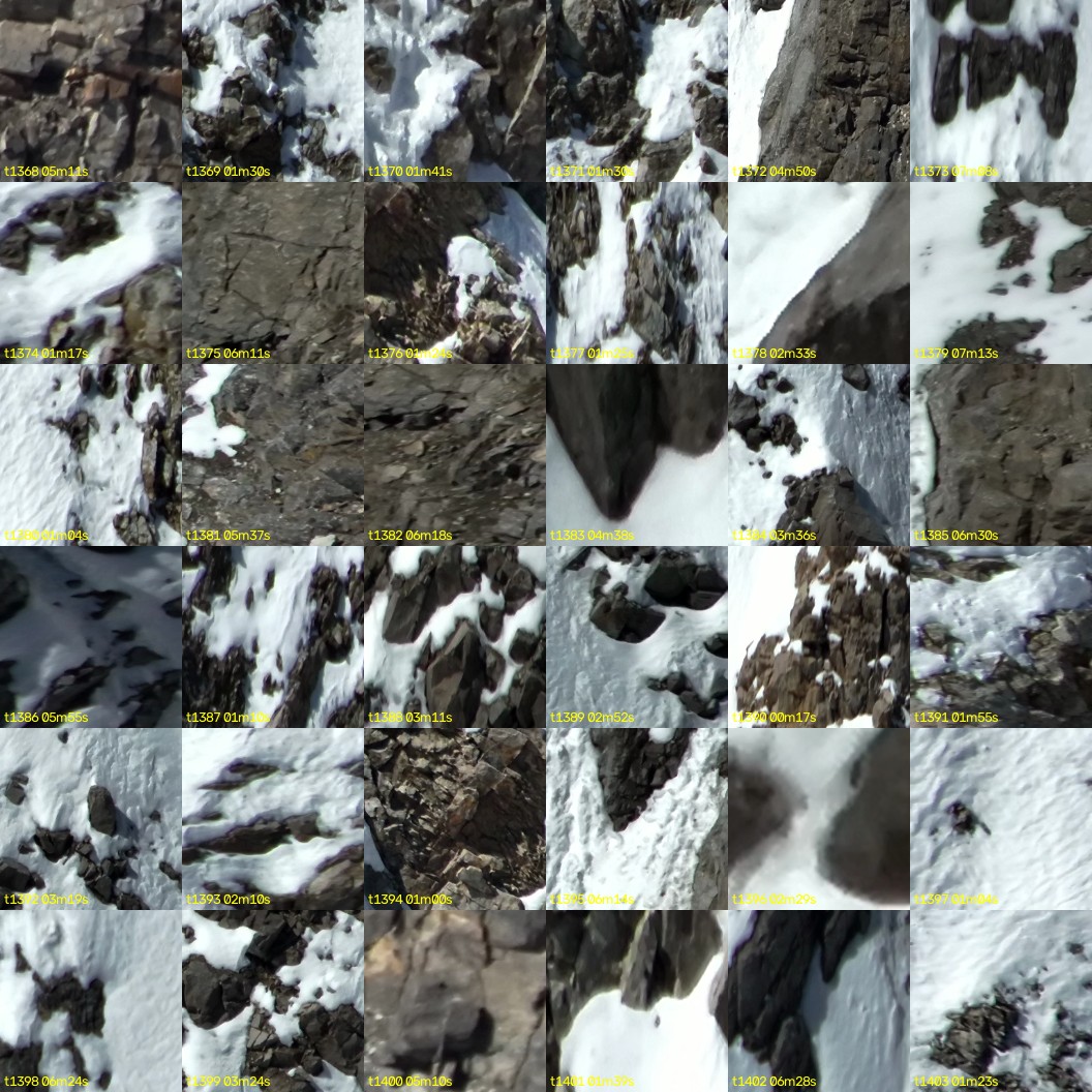 montage_38.jpg