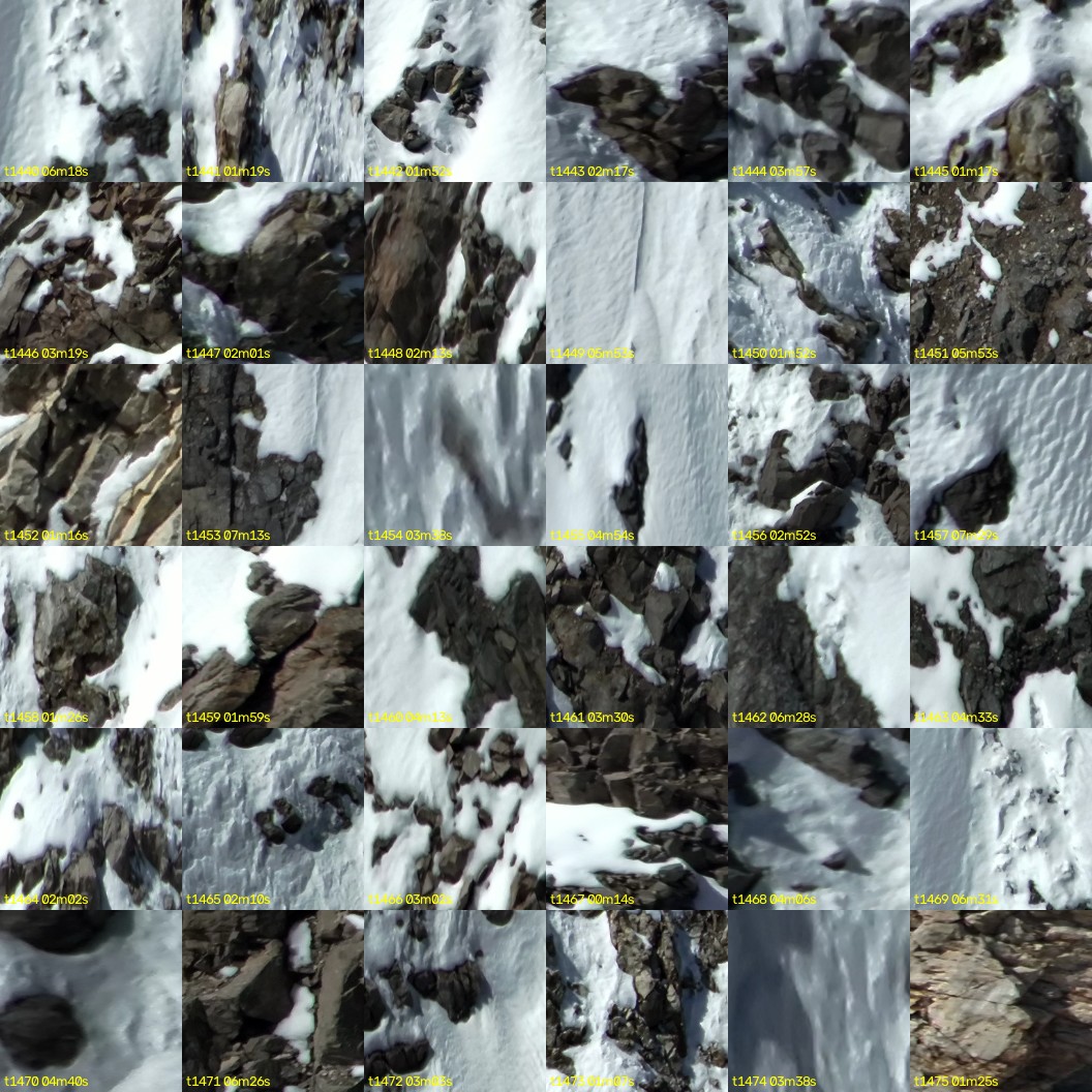 montage_40.jpg