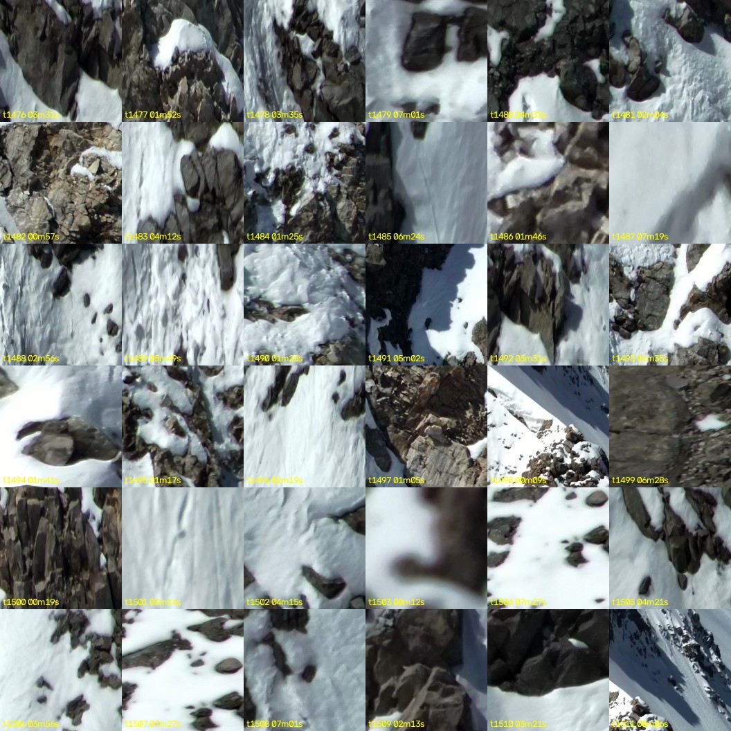 montage_41.jpg