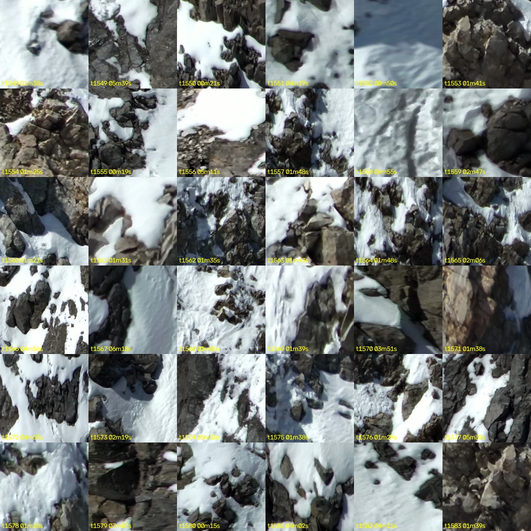 montage_43.jpg