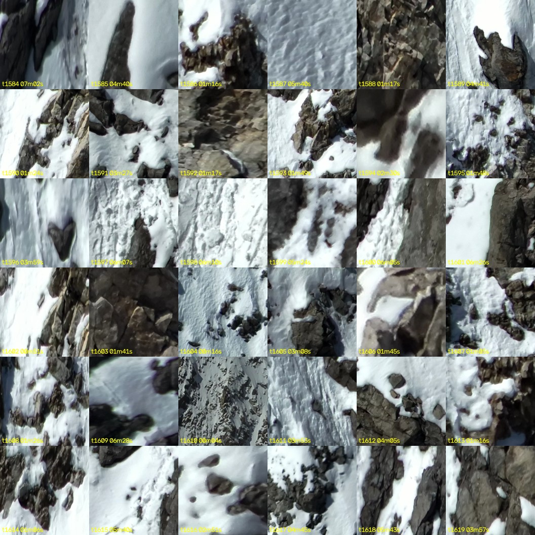 montage_44.jpg