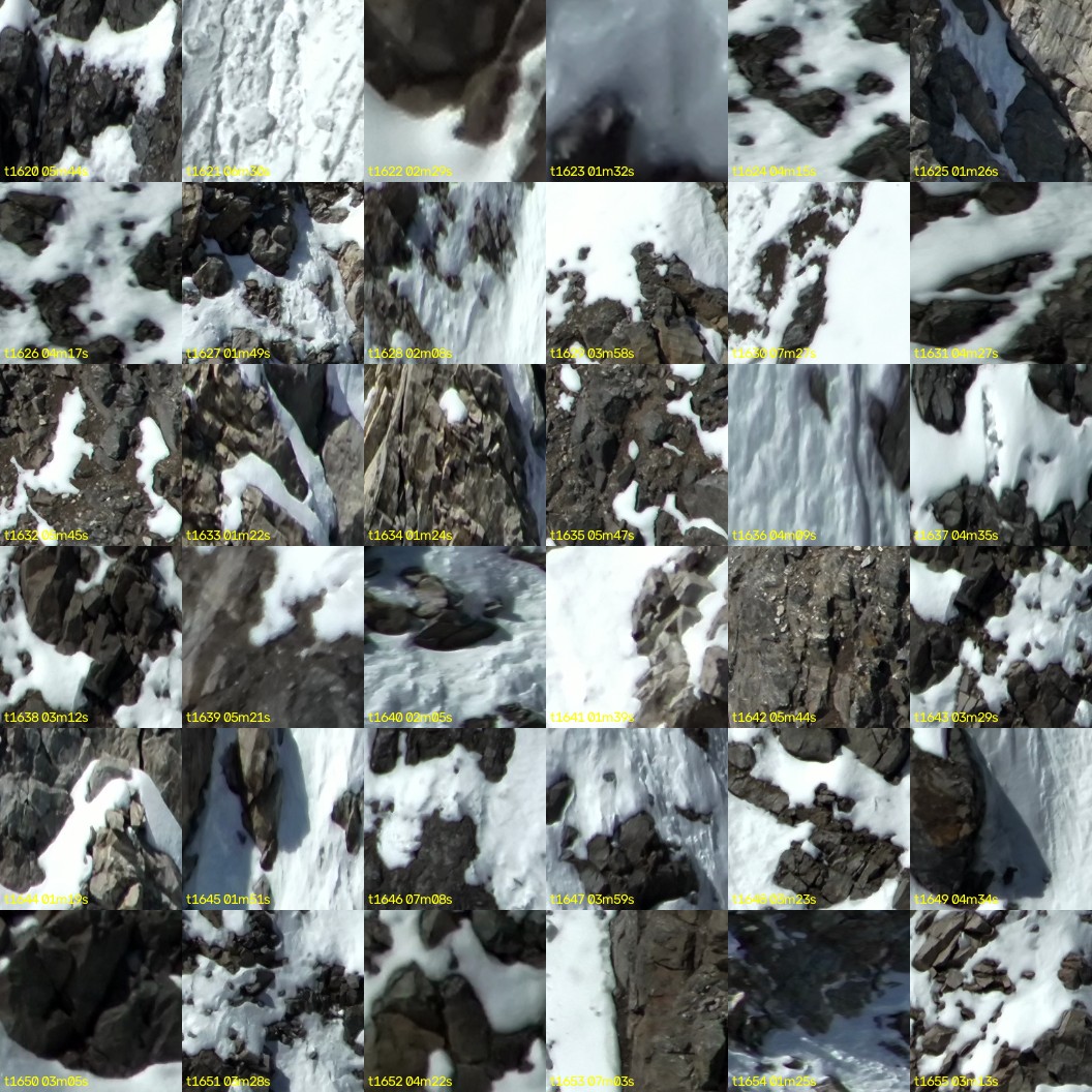 montage_45.jpg
