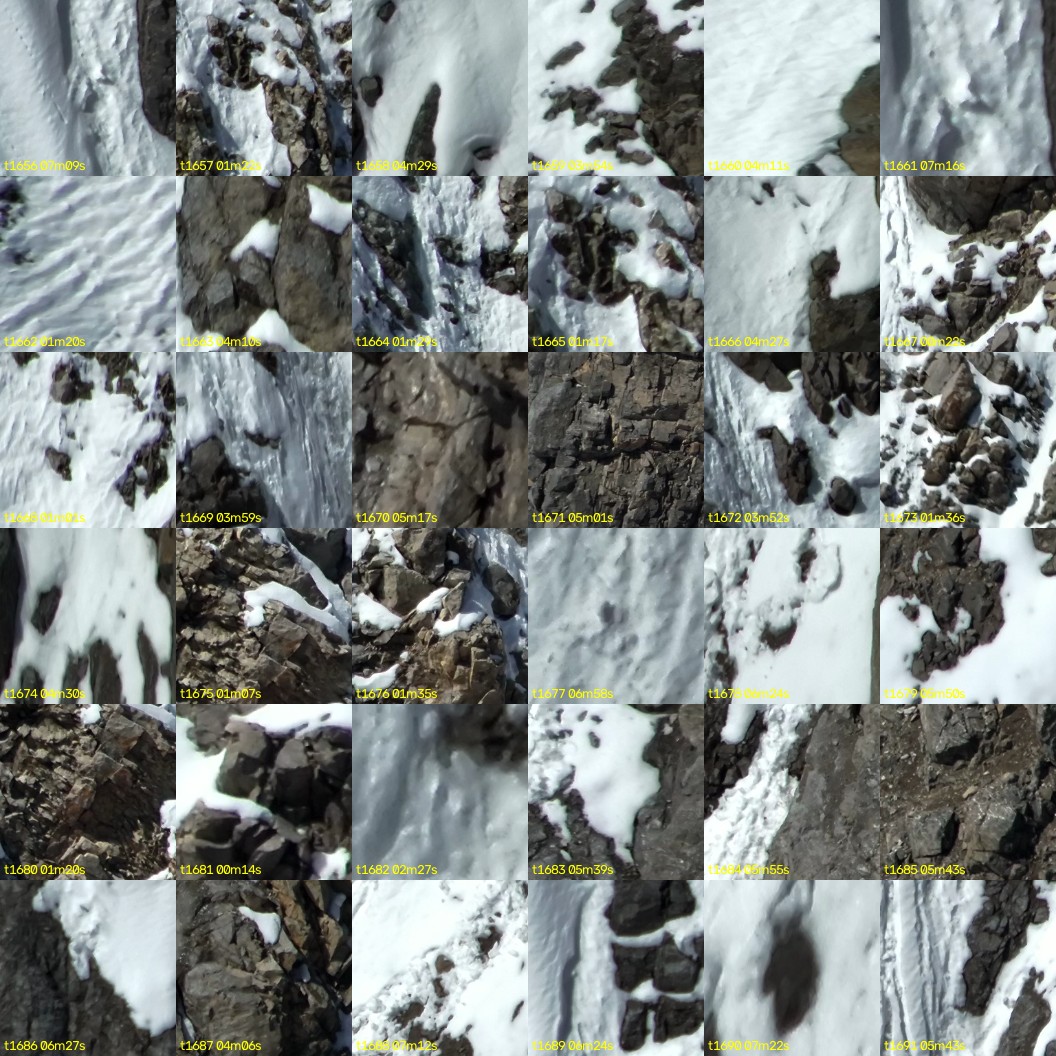 montage_46.jpg