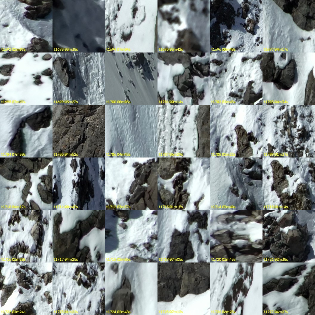 montage_47.jpg
