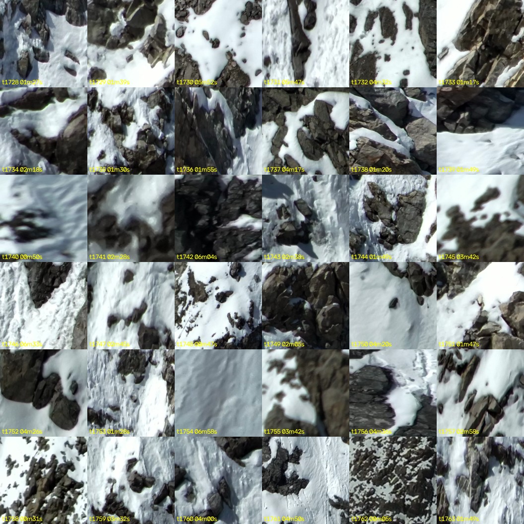 montage_48.jpg