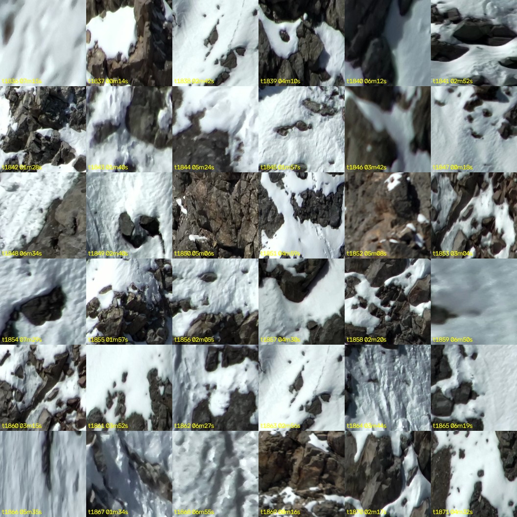 montage_51.jpg