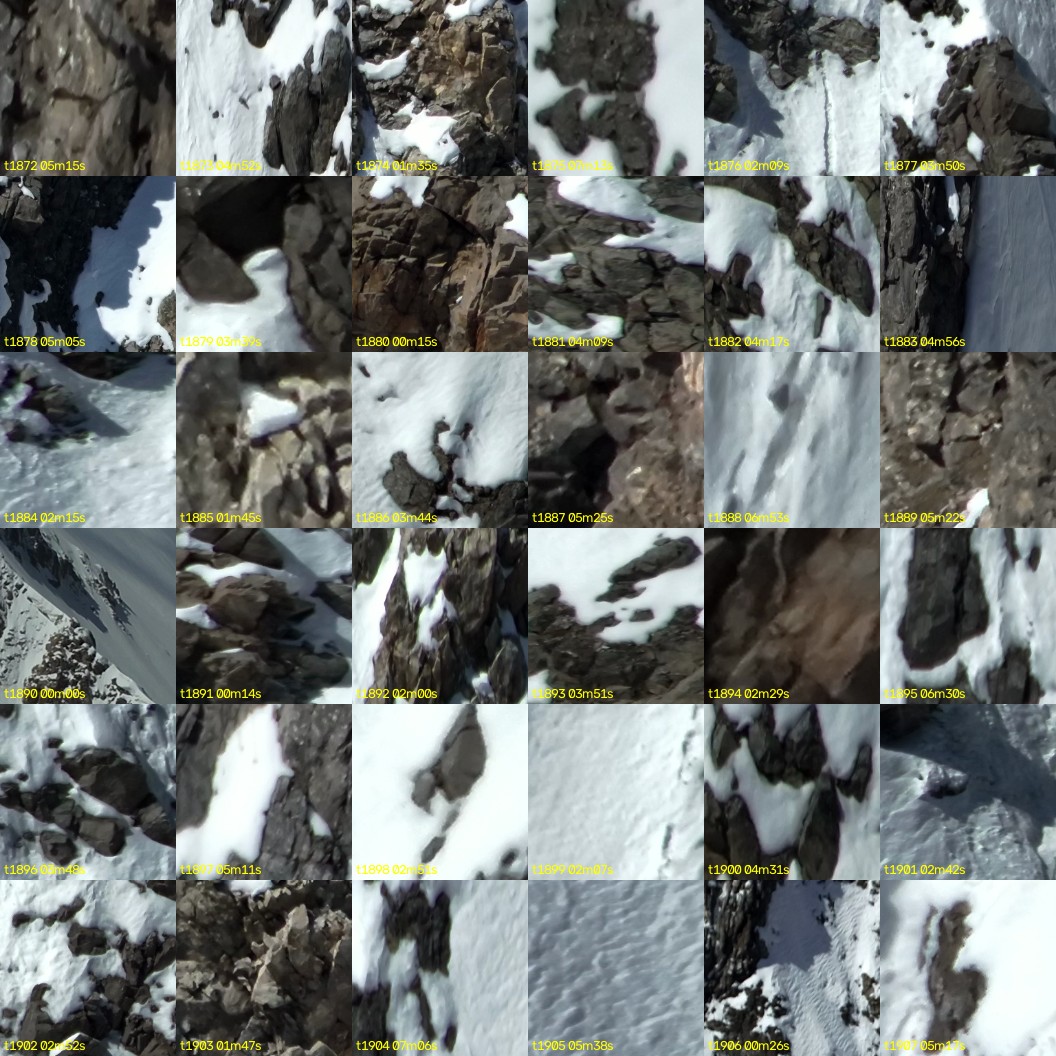montage_52.jpg