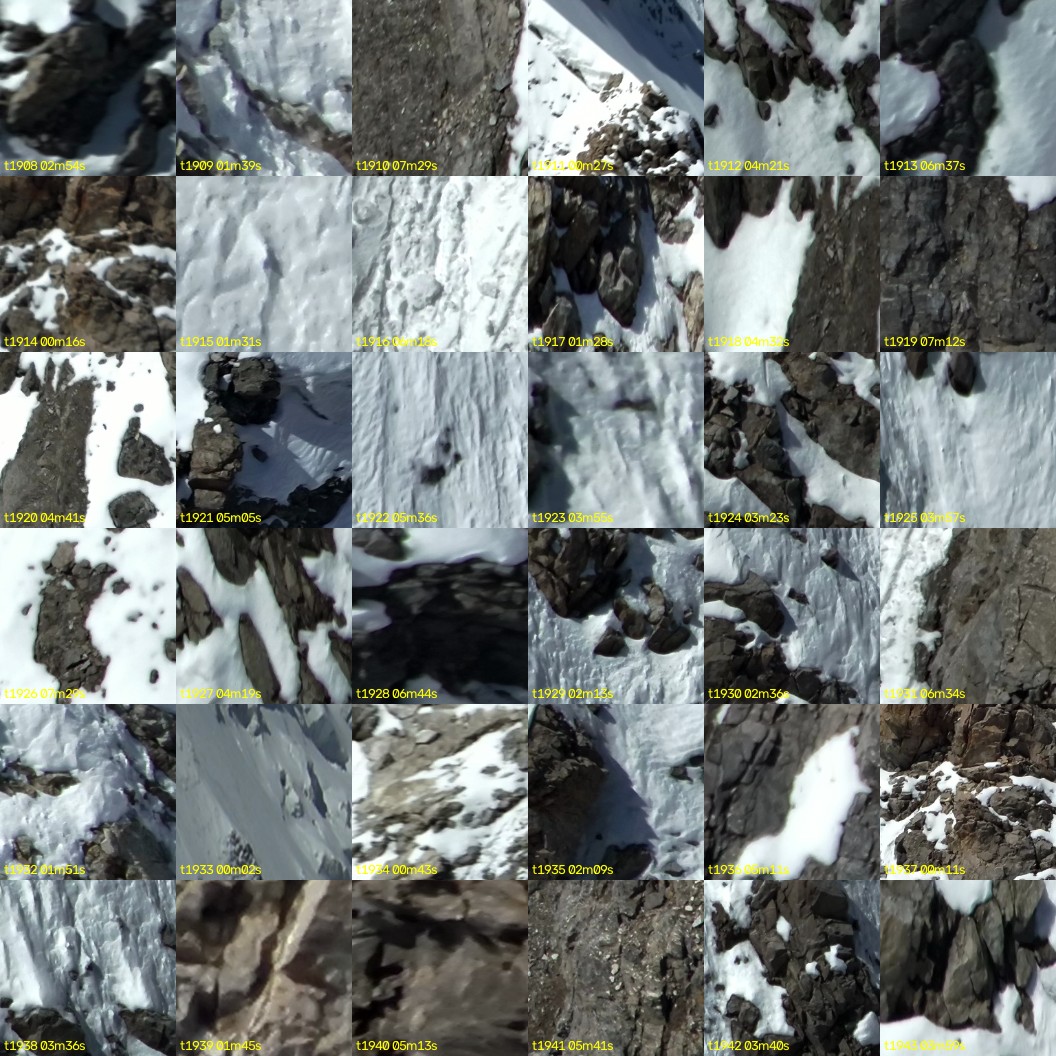 montage_53.jpg