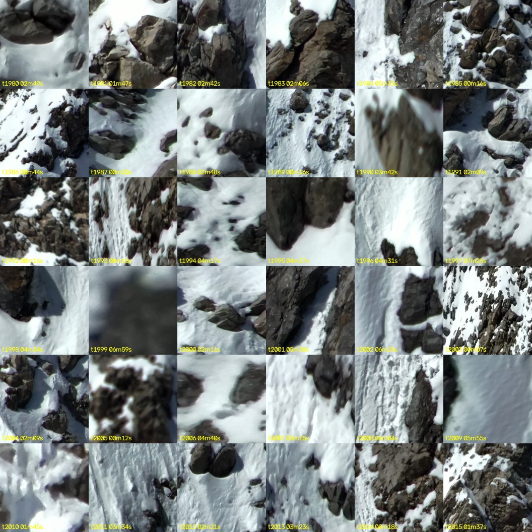 montage_55.jpg