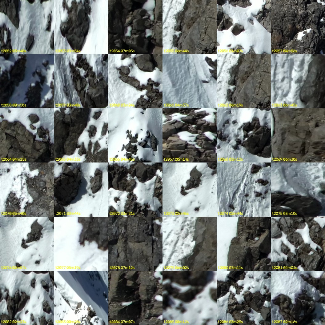 montage_57.jpg