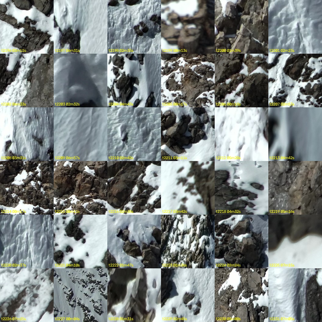 montage_61.jpg