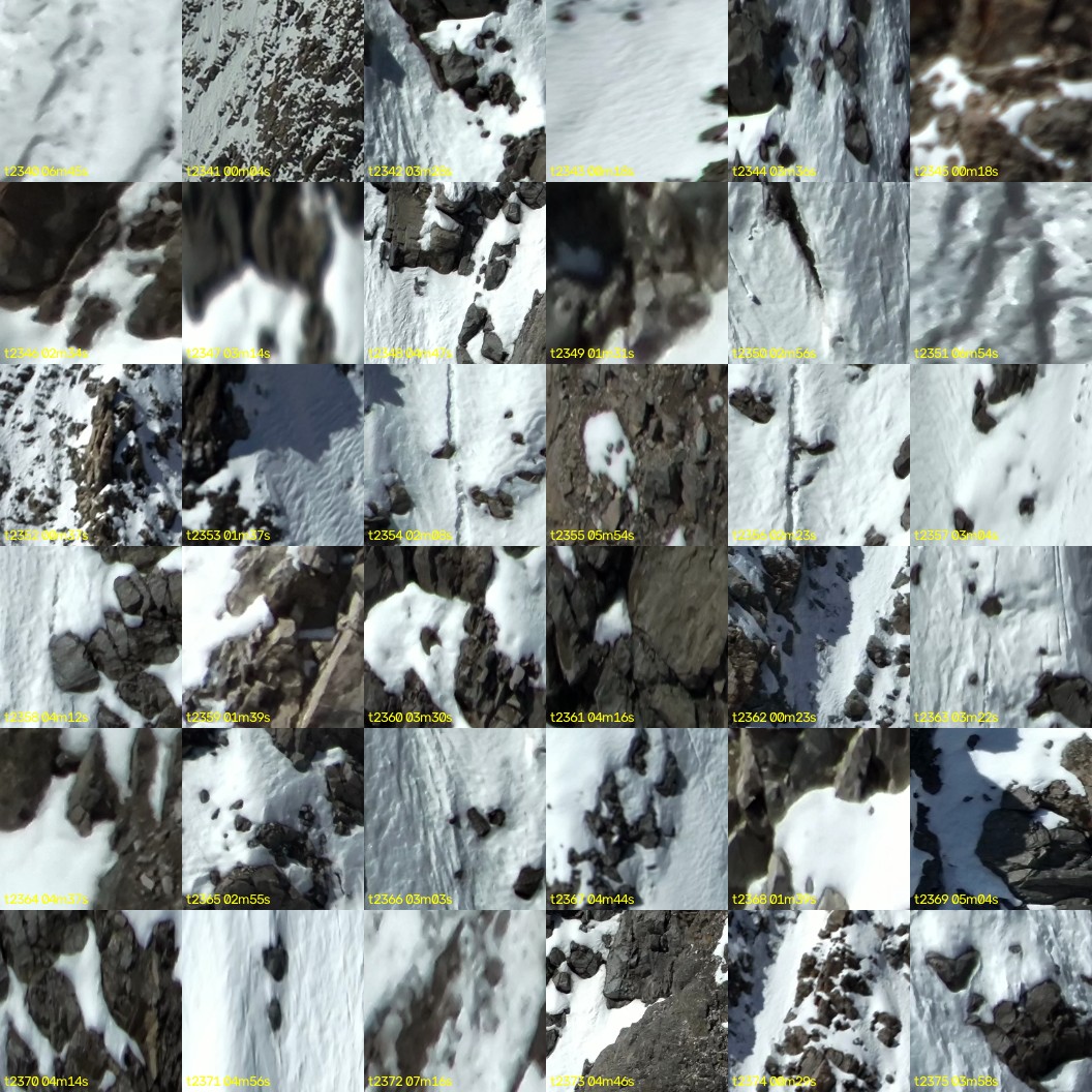 montage_65.jpg
