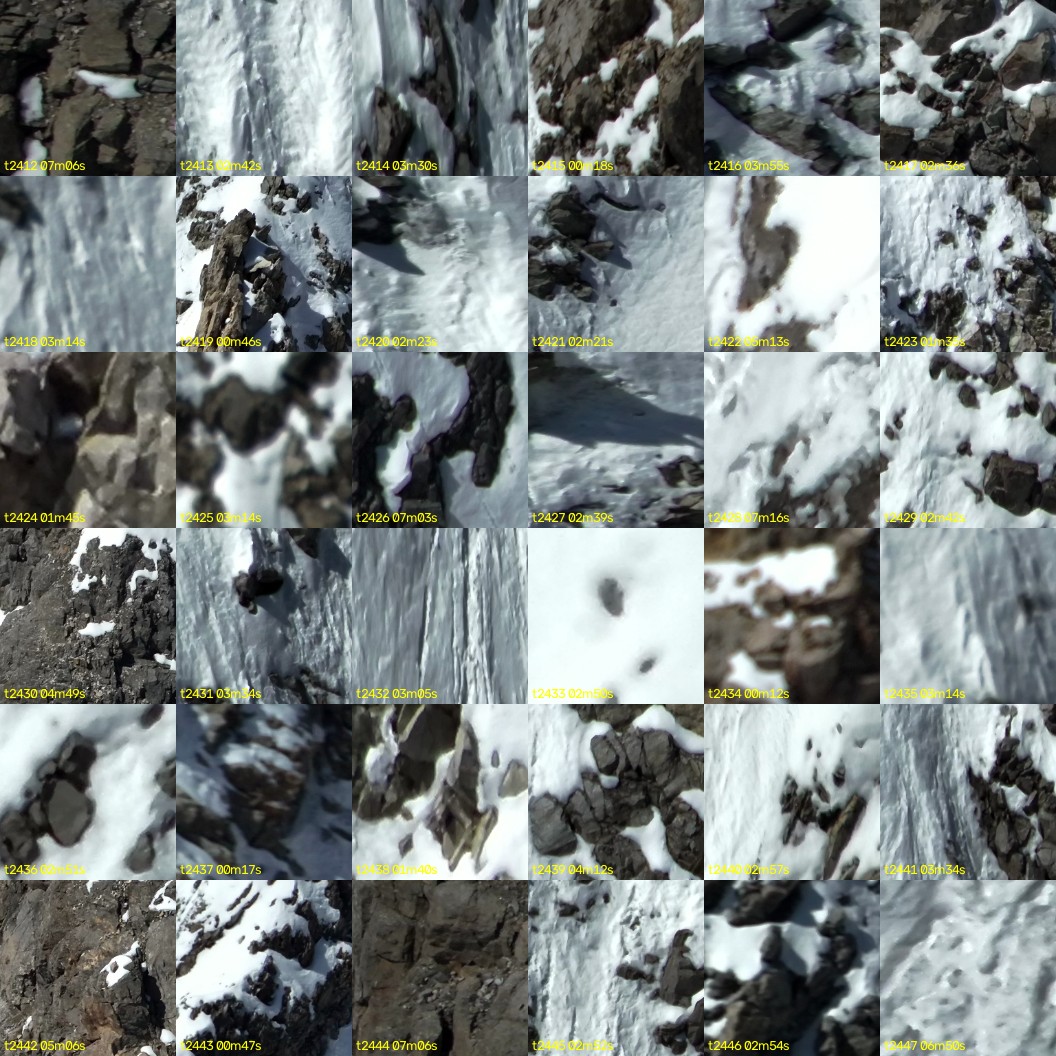 montage_67.jpg