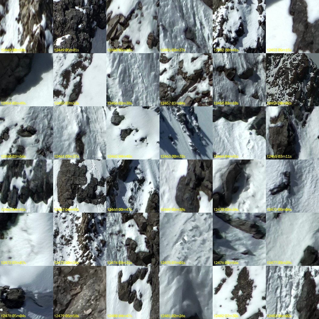 montage_68.jpg