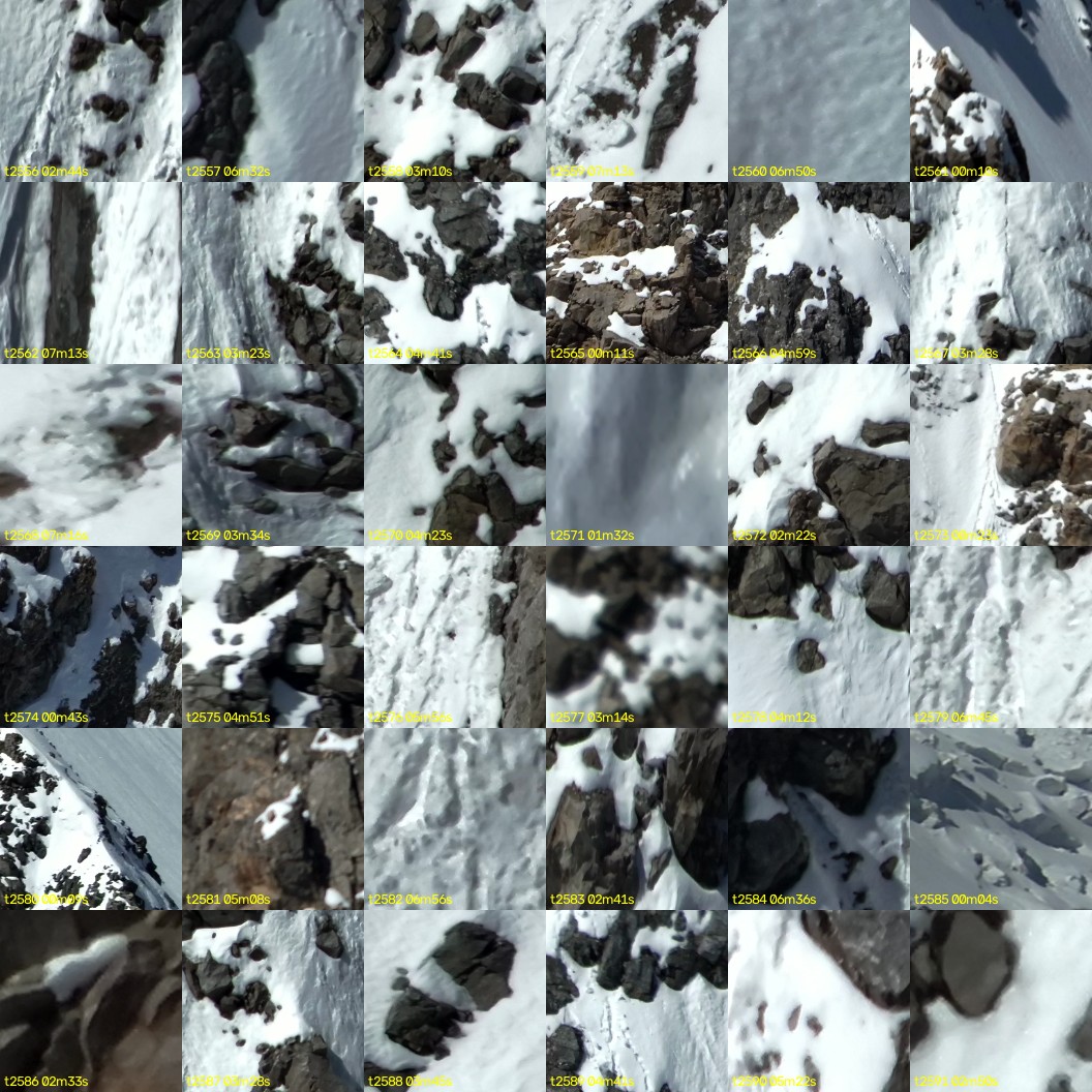 montage_71.jpg