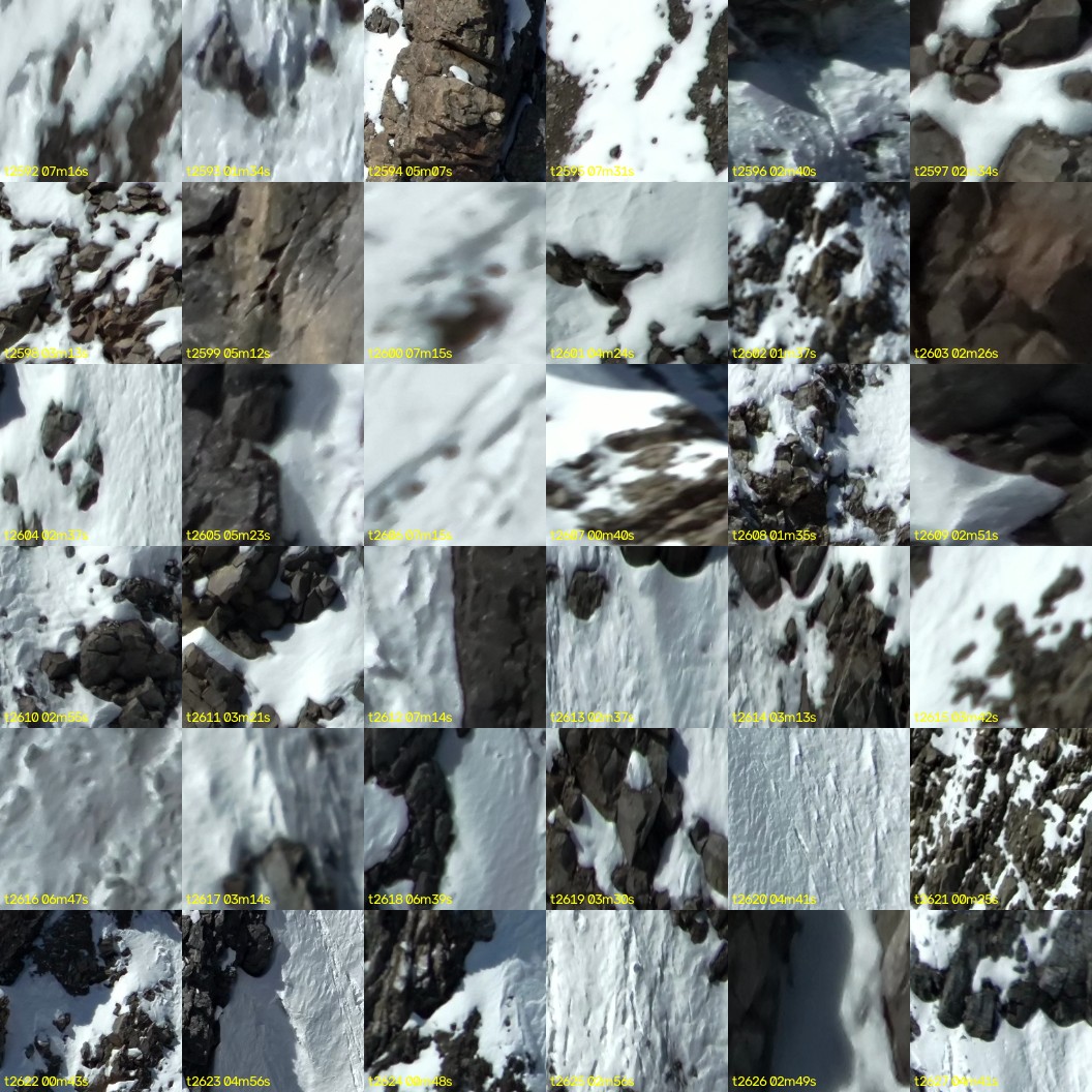 montage_72.jpg