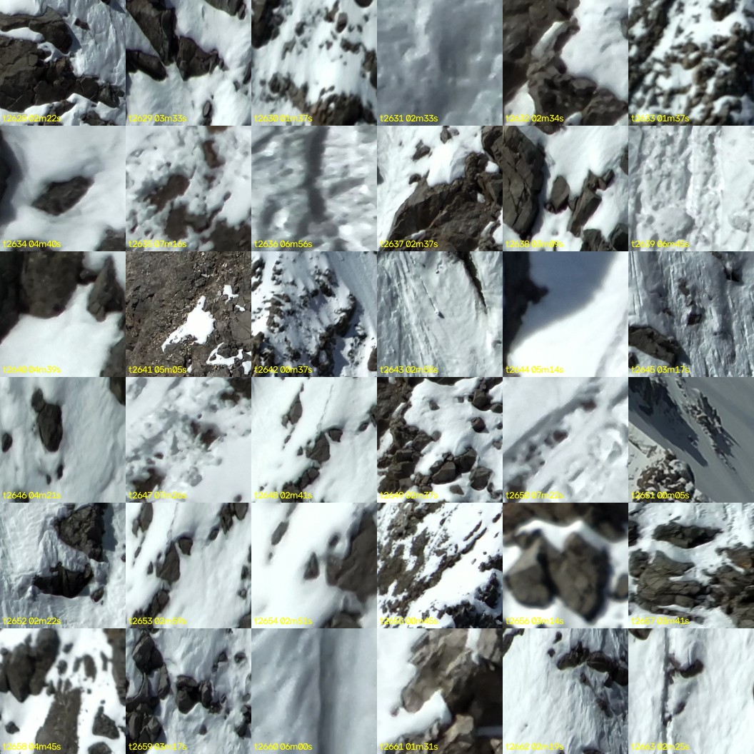 montage_73.jpg