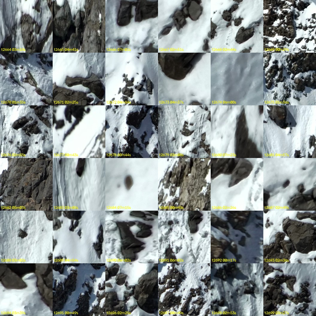 montage_74.jpg