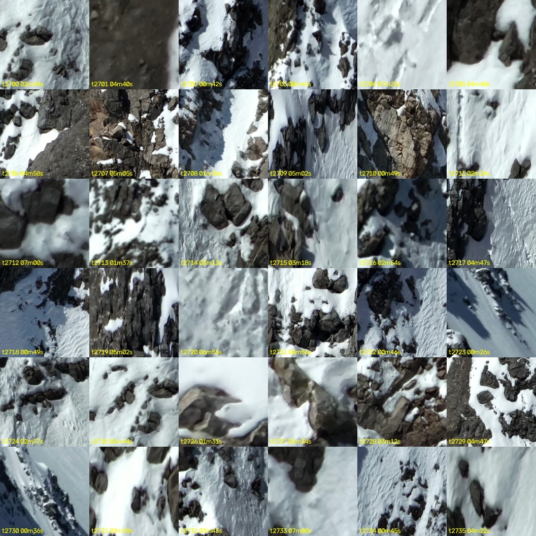 montage_75.jpg