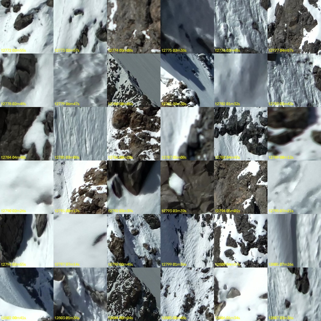 montage_77.jpg