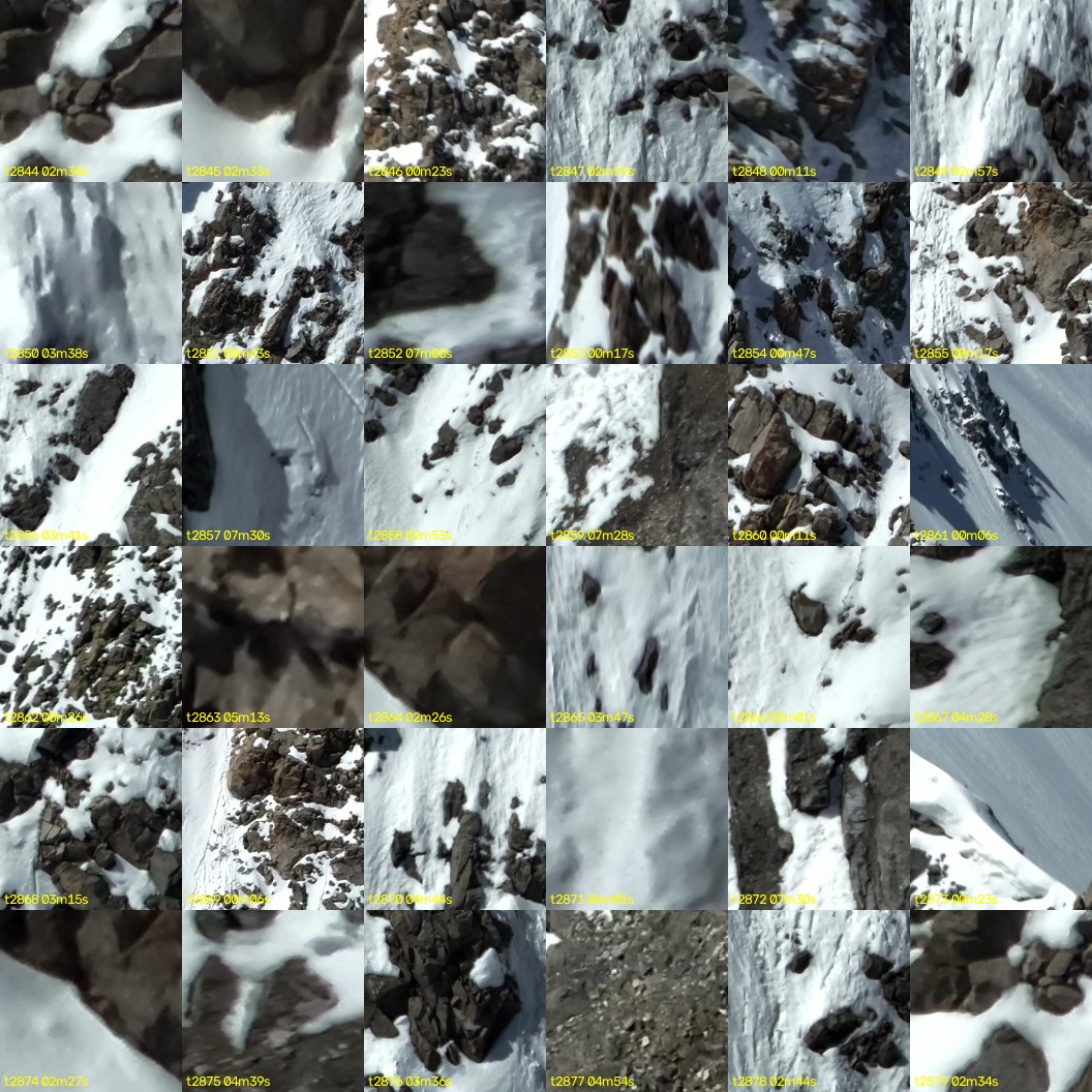 montage_79.jpg