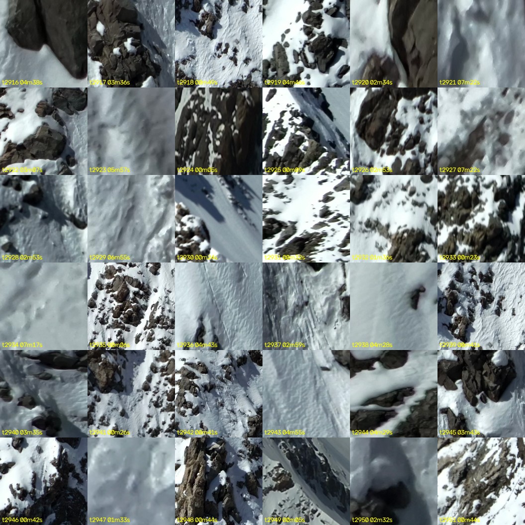 montage_81.jpg