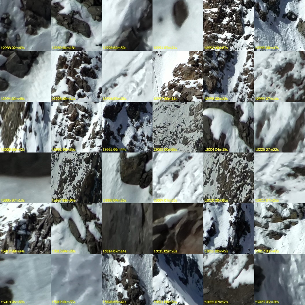 montage_83.jpg