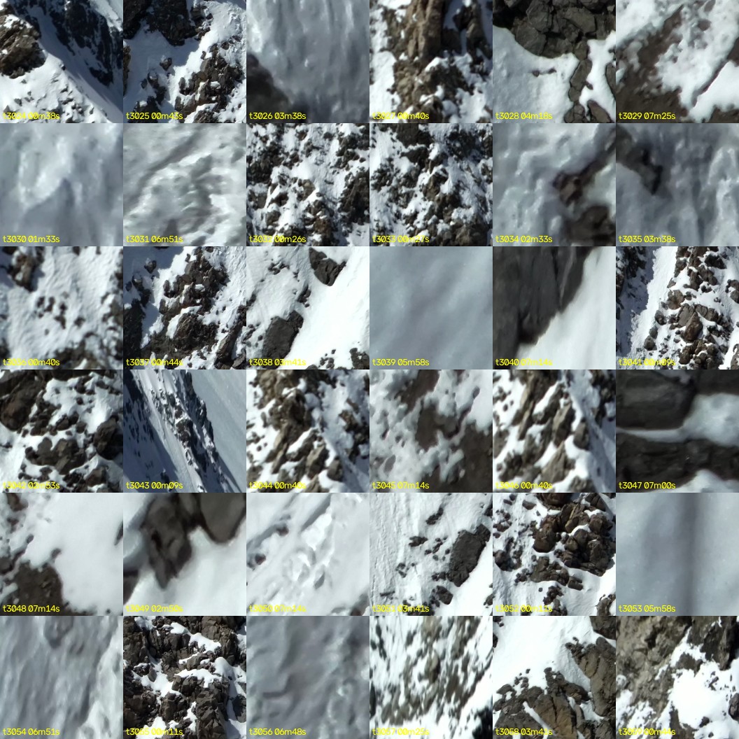 montage_84.jpg