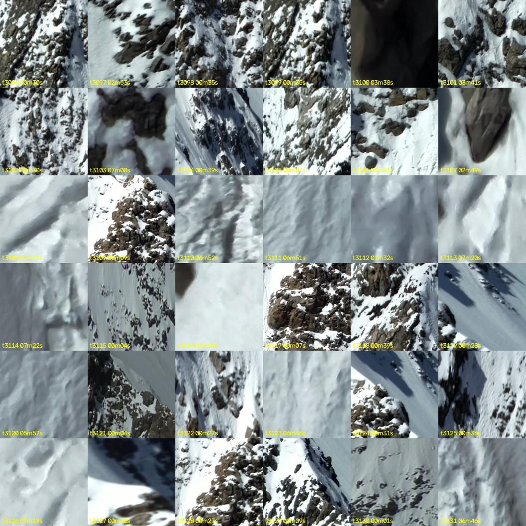 montage_86.jpg