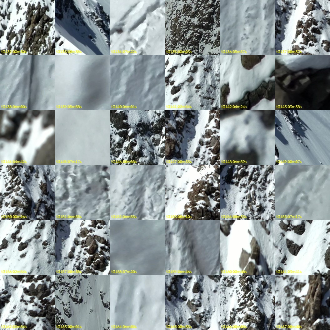 montage_87.jpg