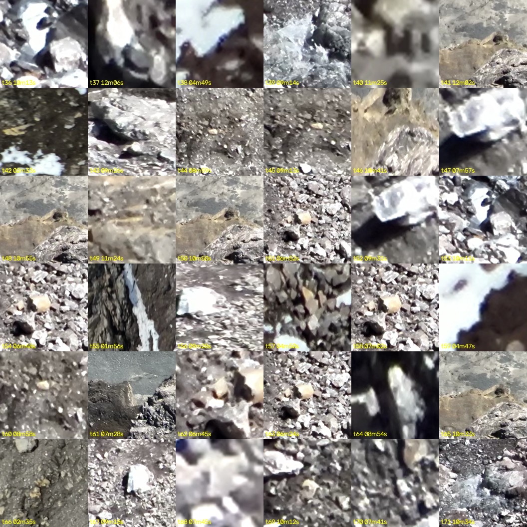 montage_01.jpg