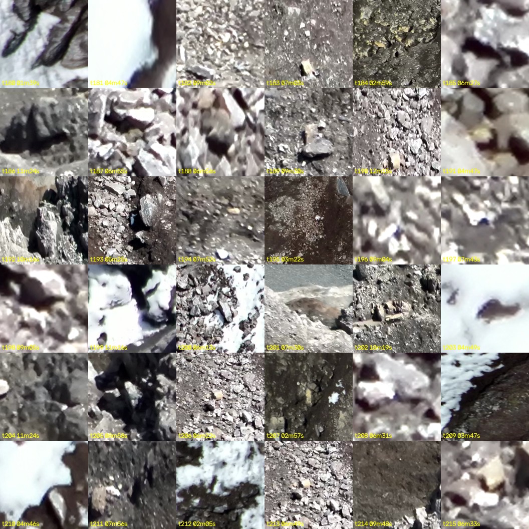 montage_05.jpg