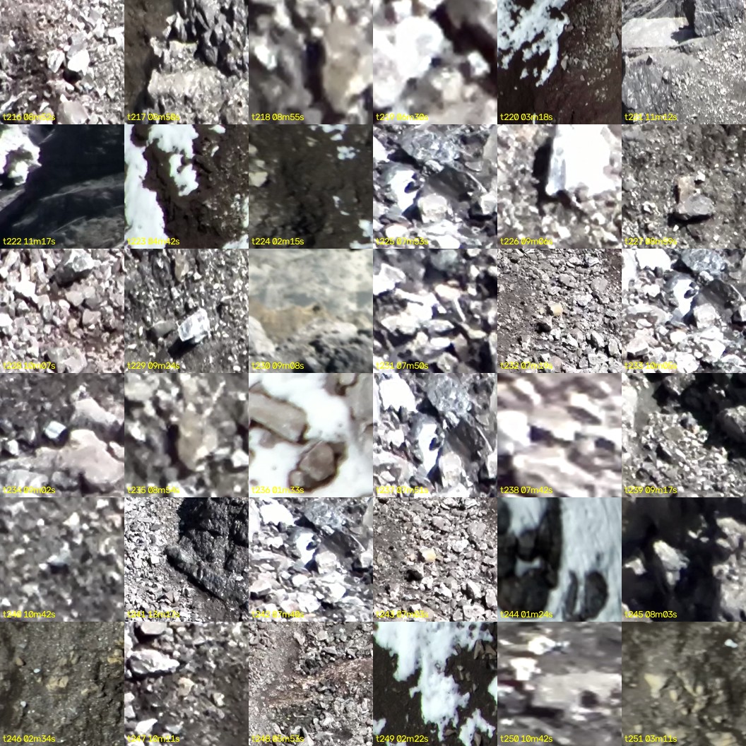 montage_06.jpg