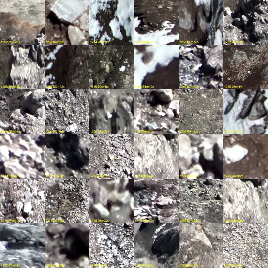 montage_07.jpg