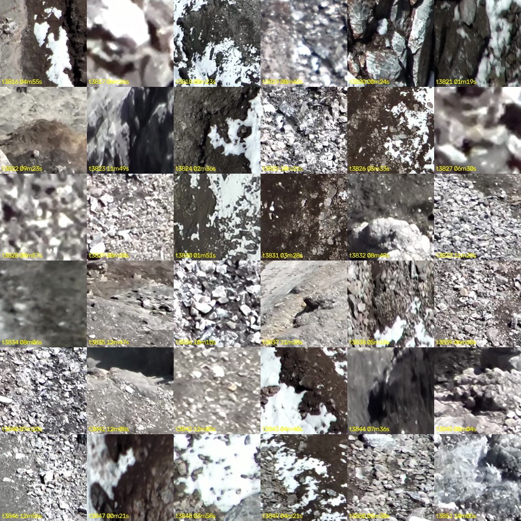 montage_106.jpg
