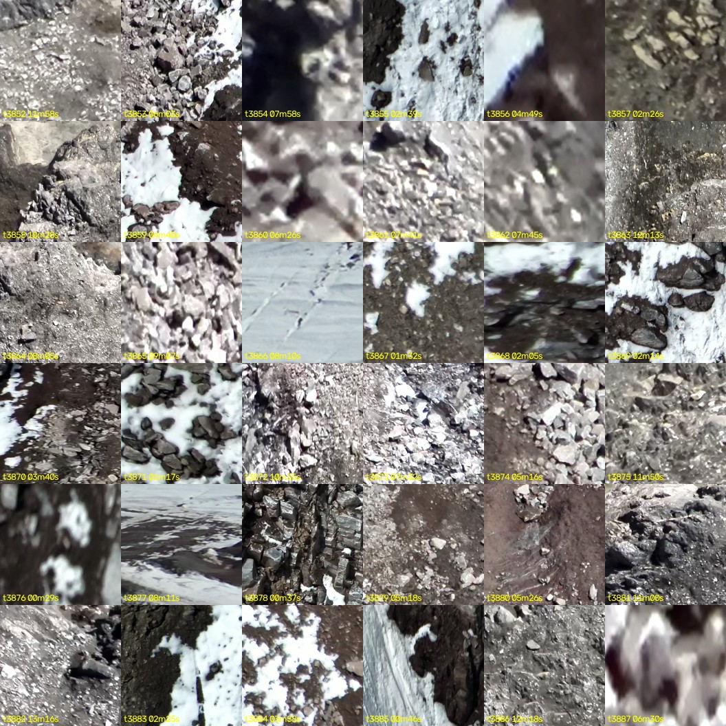 montage_107.jpg