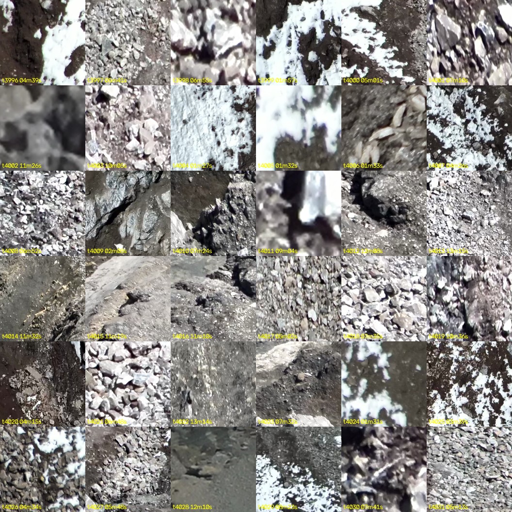 montage_111.jpg