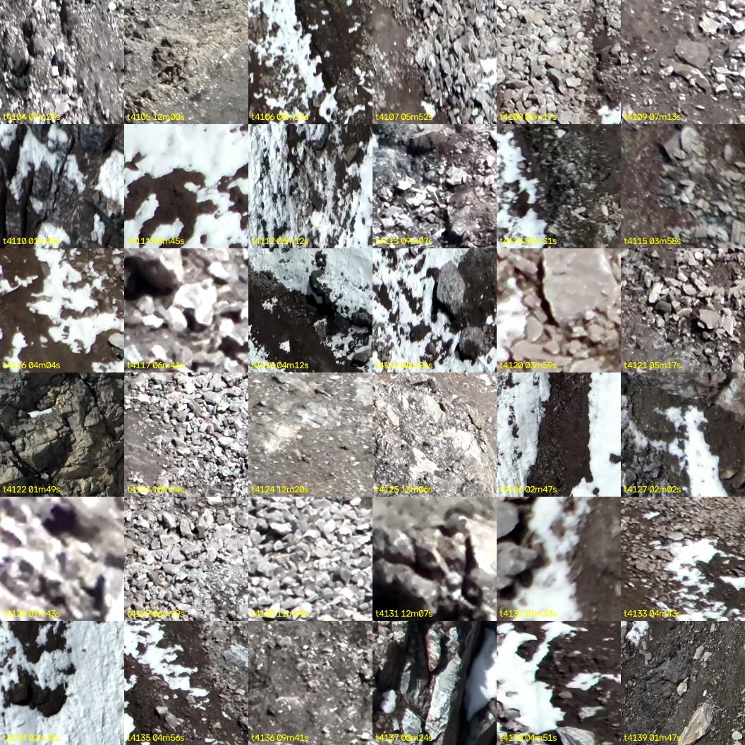 montage_114.jpg