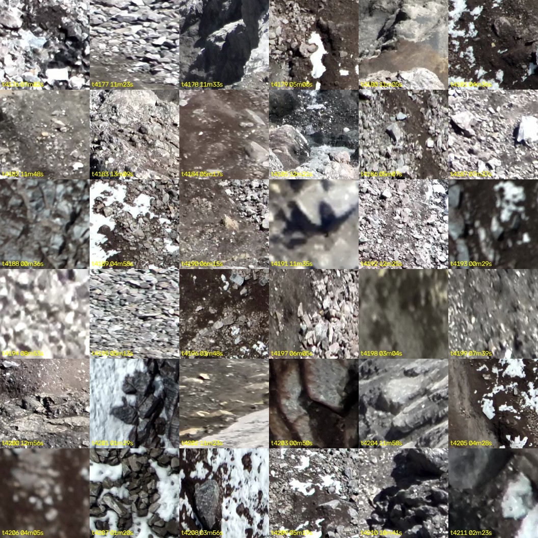 montage_116.jpg