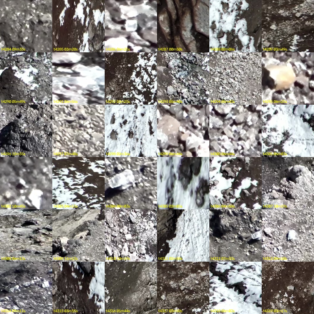 montage_119.jpg