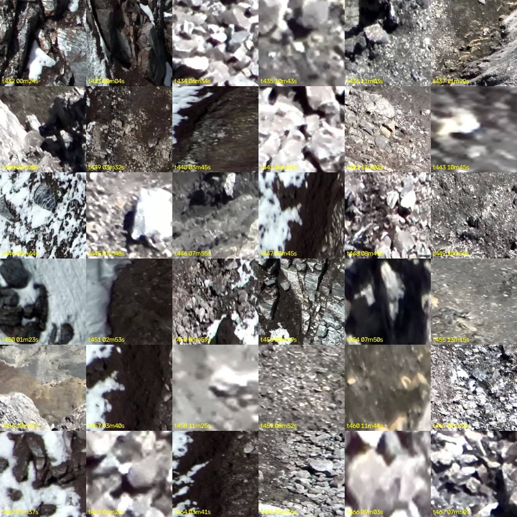 montage_12.jpg