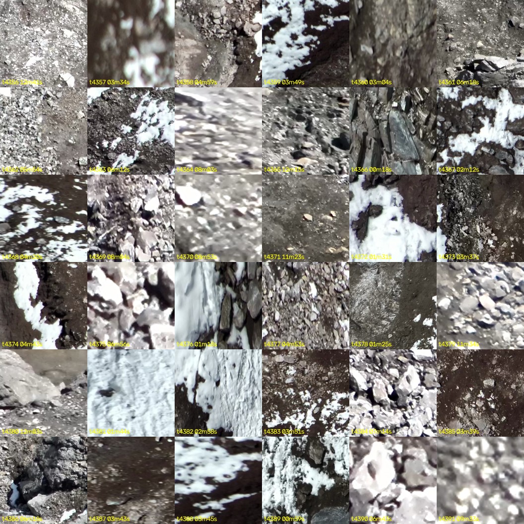 montage_121.jpg